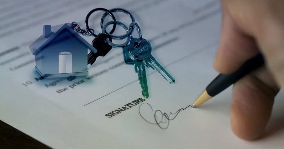 wp-header-logo-2641.png