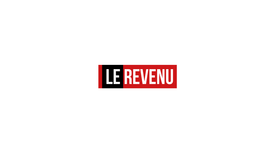 wp-header-logo-446.png